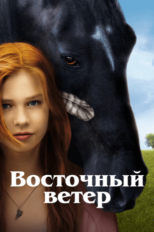 Восточный ветер / Ostwind (2013)